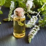 Metor Organic Peppermint Essential Oil
