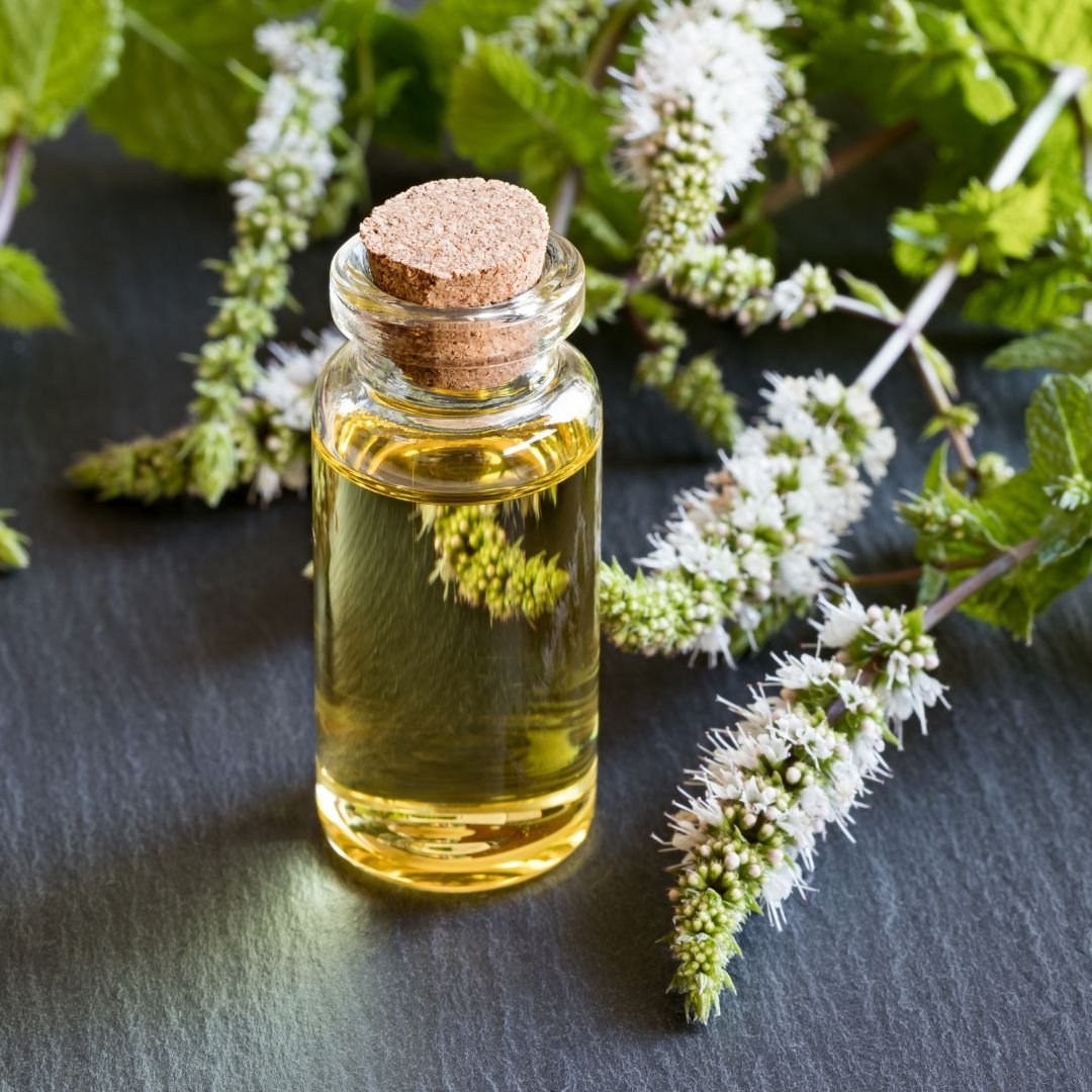 33.jpg Metor Organic Peppermint Essential Oil - Image 1